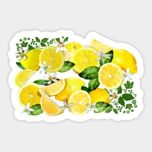 Acid Lemons from Calabria Sticker